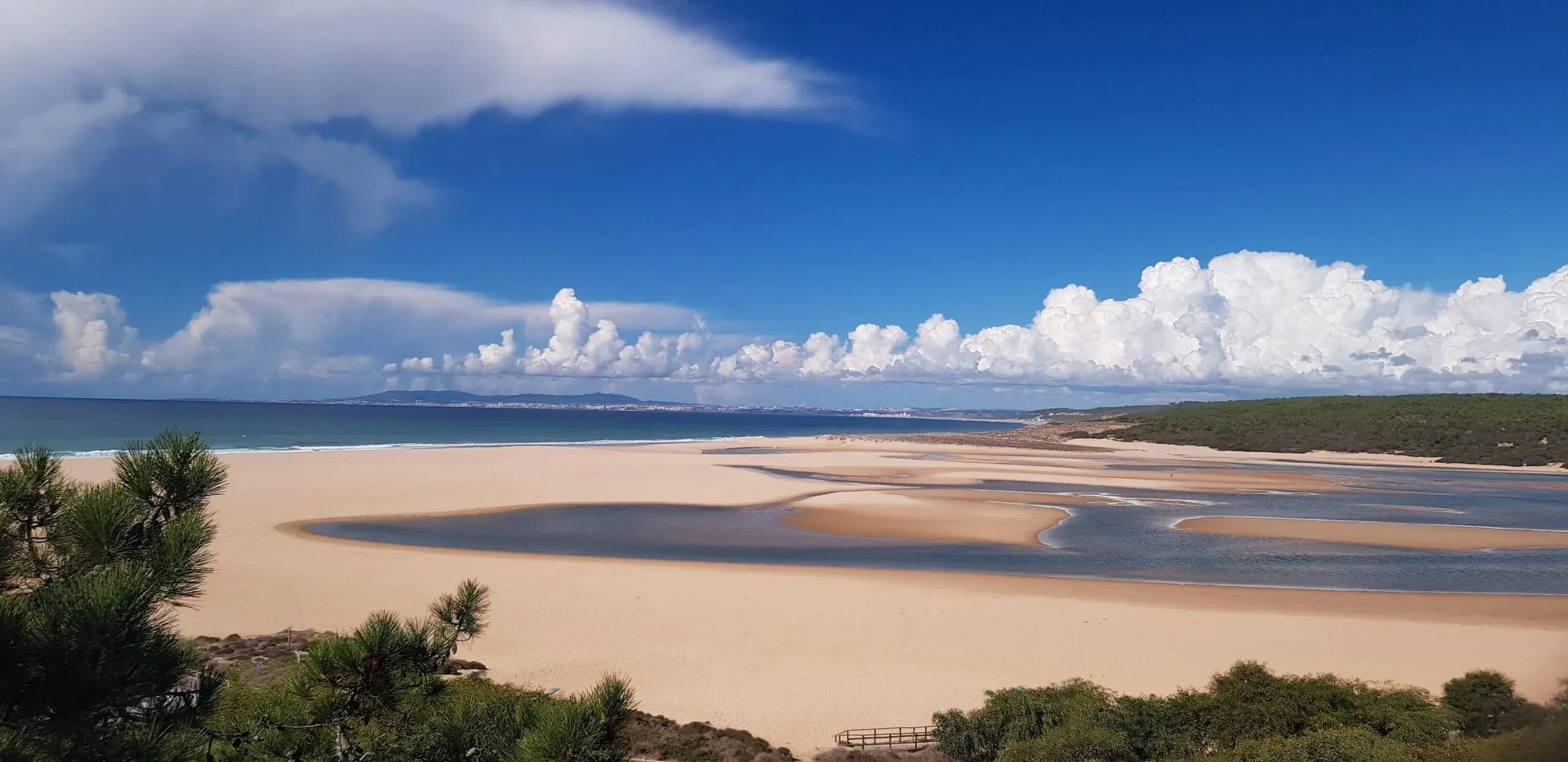 Yoga and meditation in the pine forest at Lagoa de Albufeira, Sesimbra
