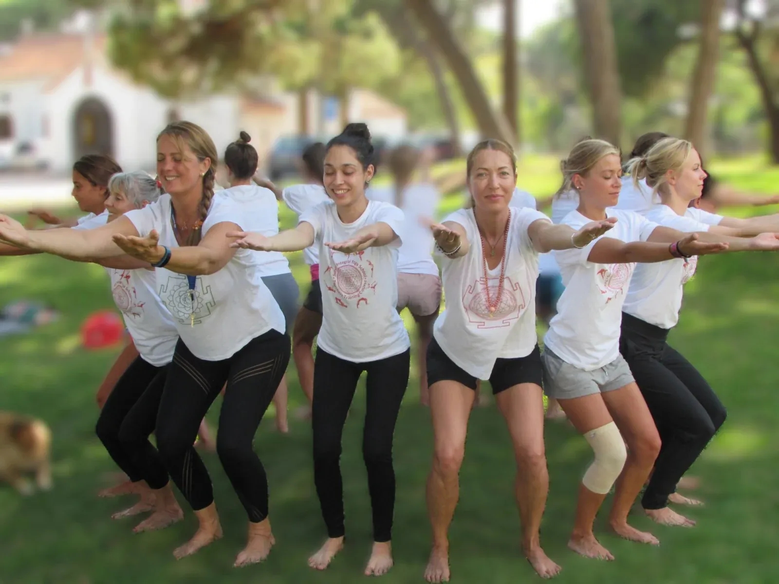 Retreats & Workshops