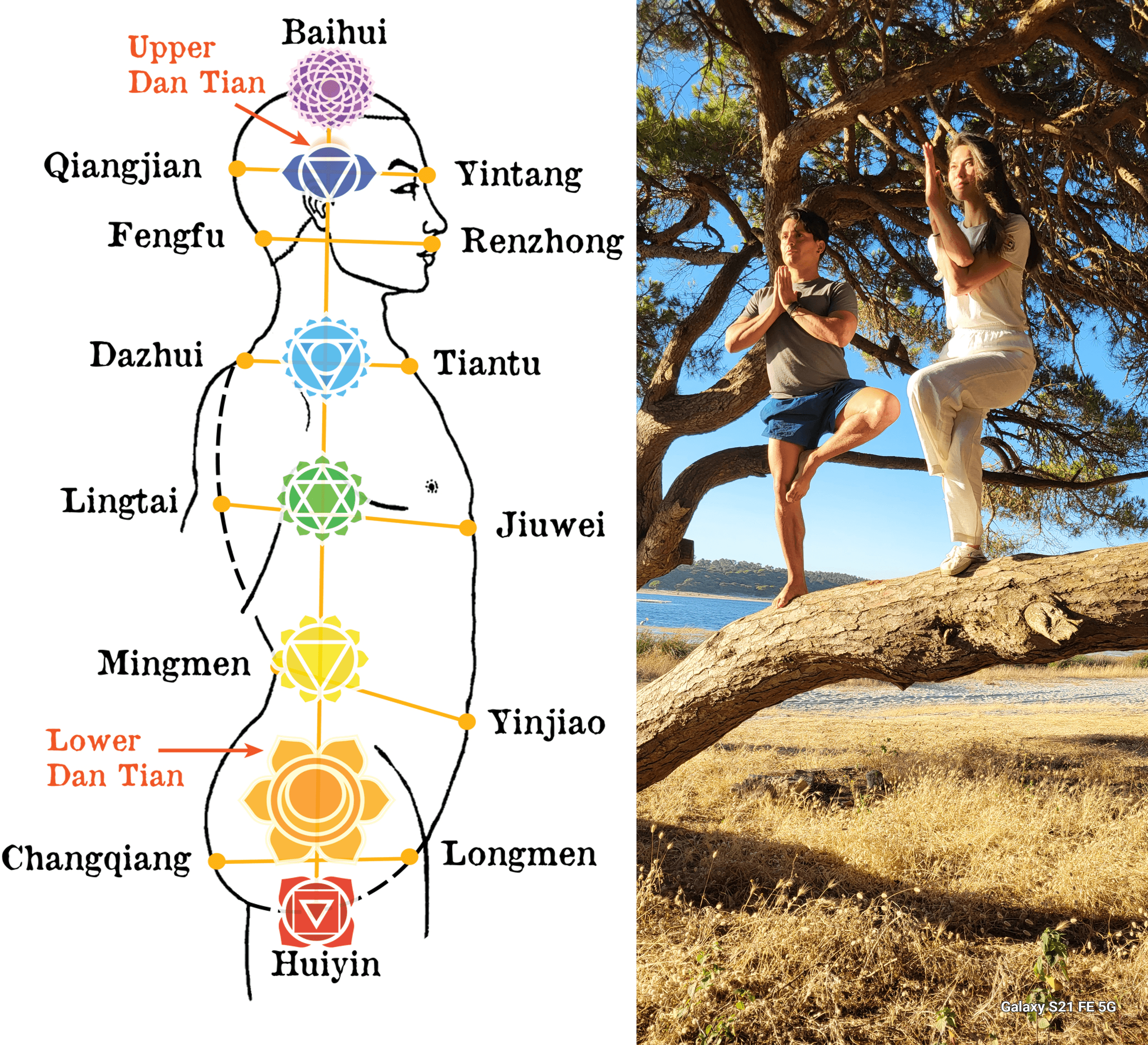 Yoga and Qigong Fusion