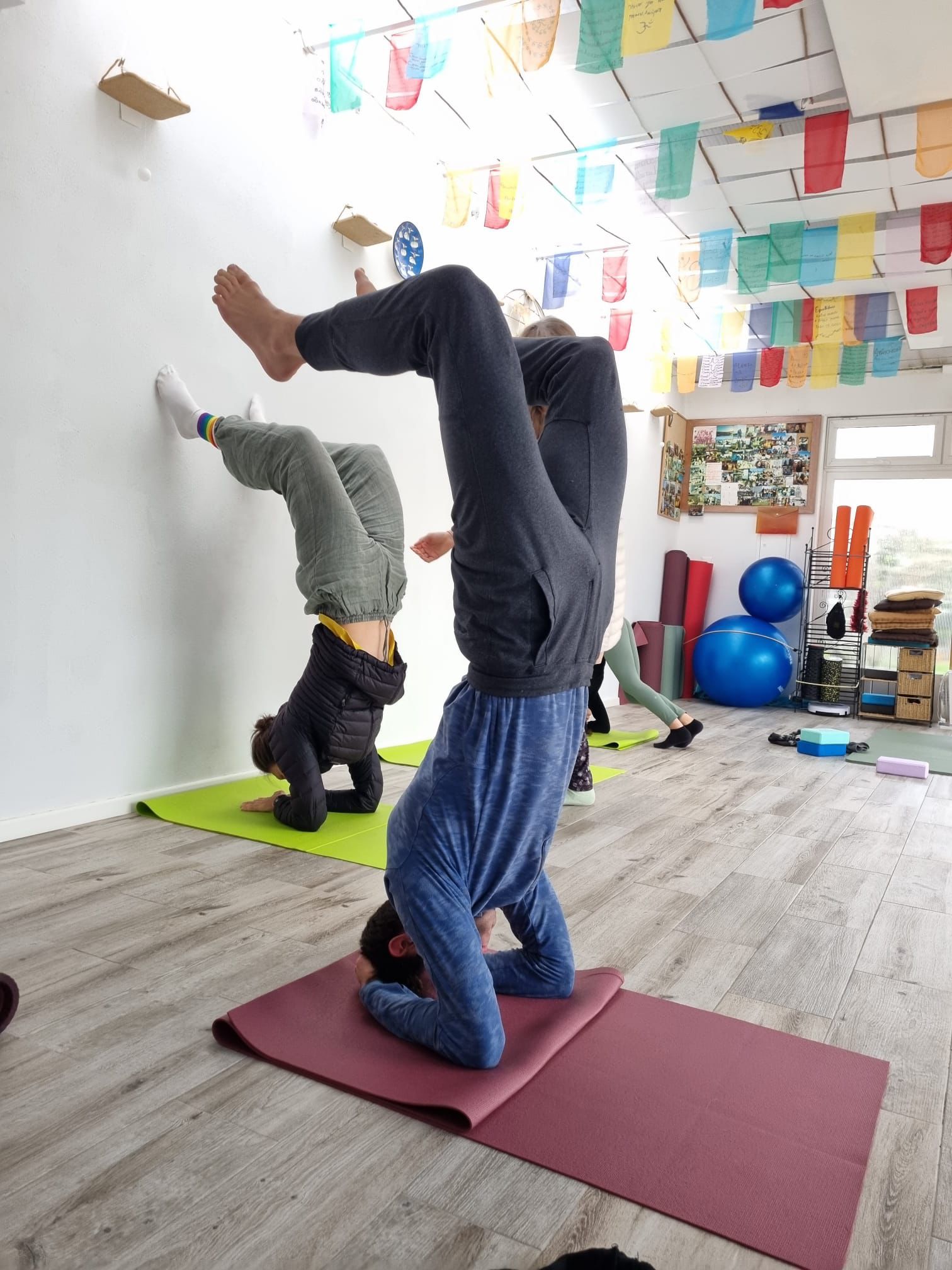 200-Hour Intensive Yoga Teacher Training & Dao Yin-Qigong Workshop