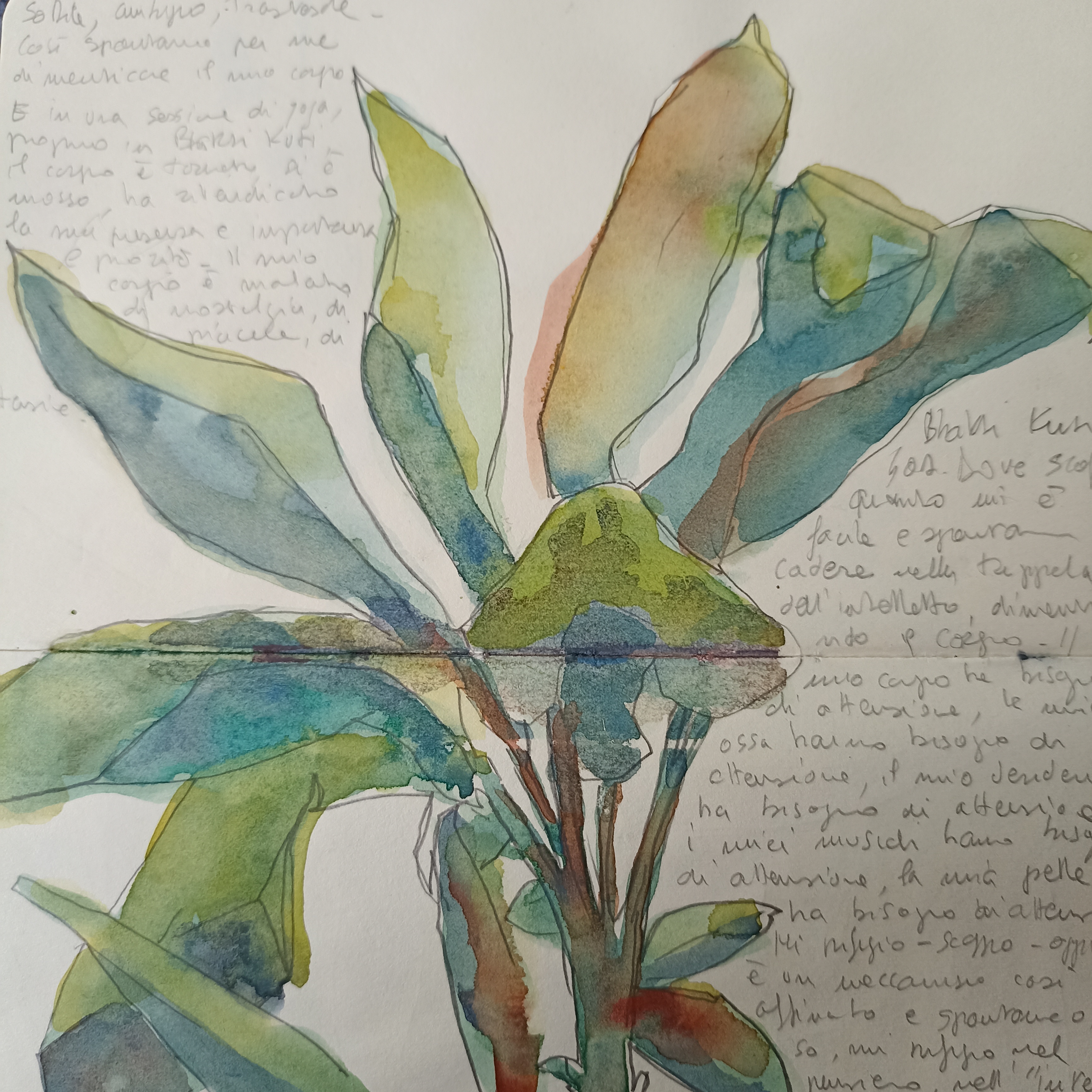 Meditation and Art Retreat 