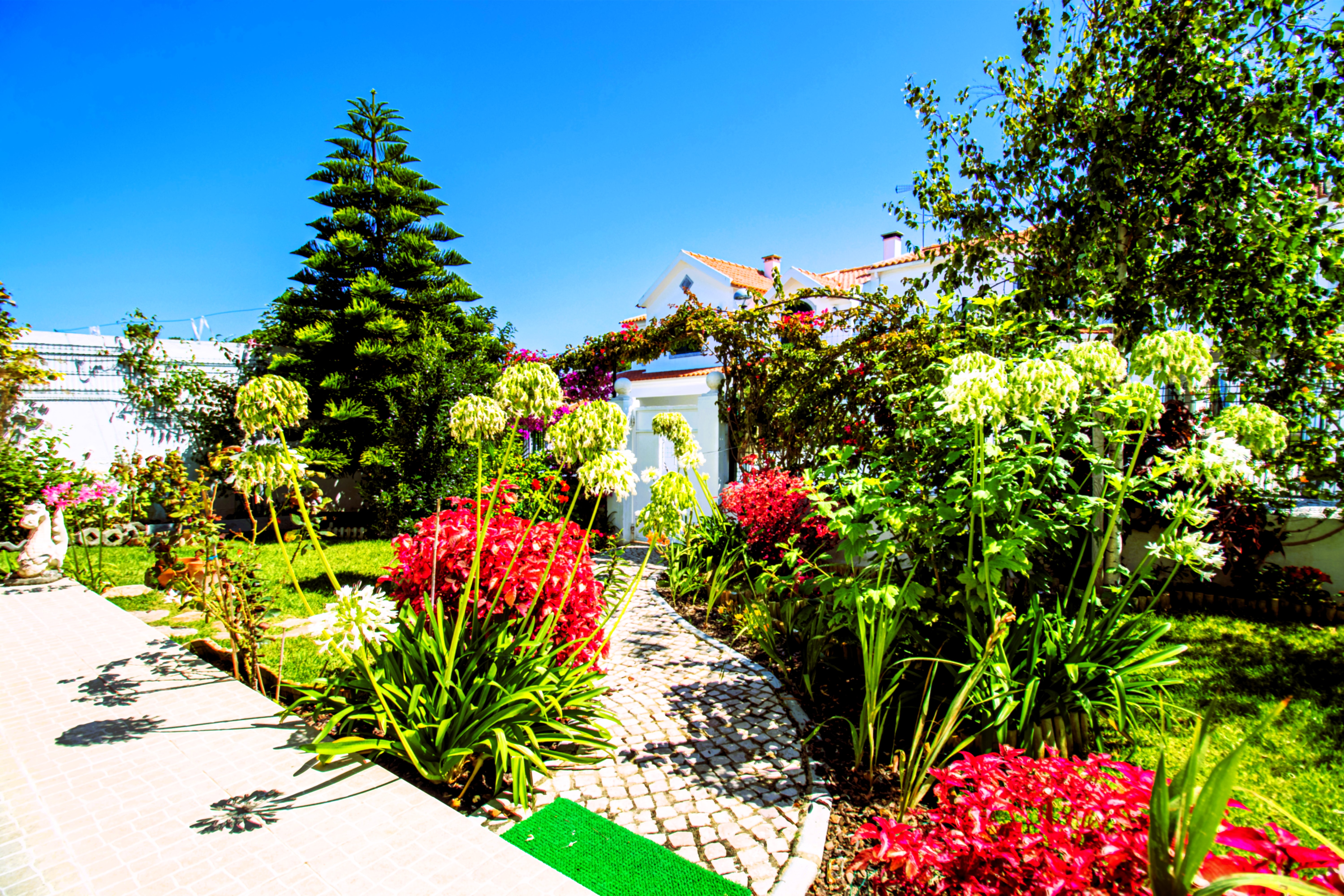 Our peaceful gardens