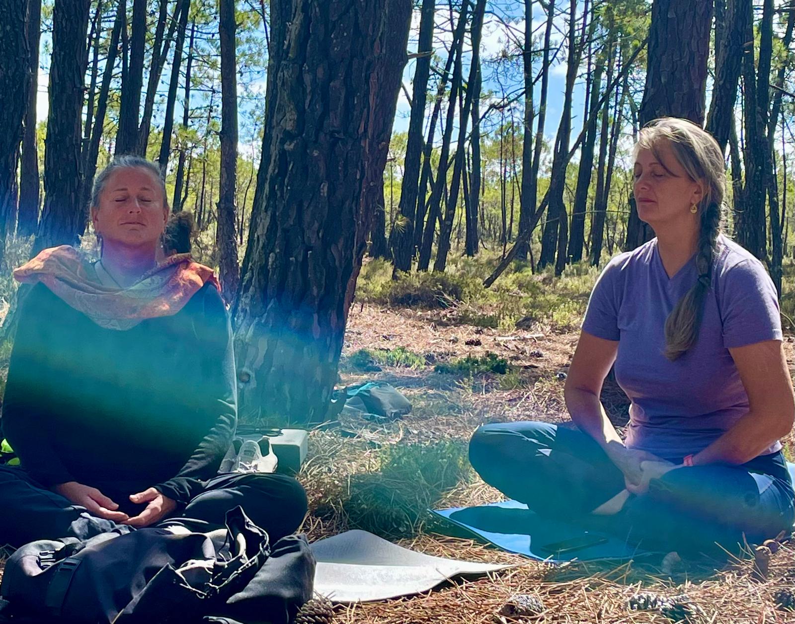 200-Hour Intensive Yoga Teacher Training and Dao Yin-Qigong Workshop